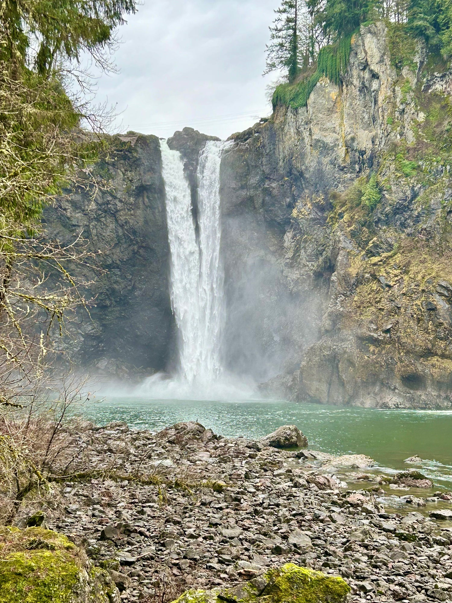 Waterfall plunging into a pool surrounded by rocky and forested area.