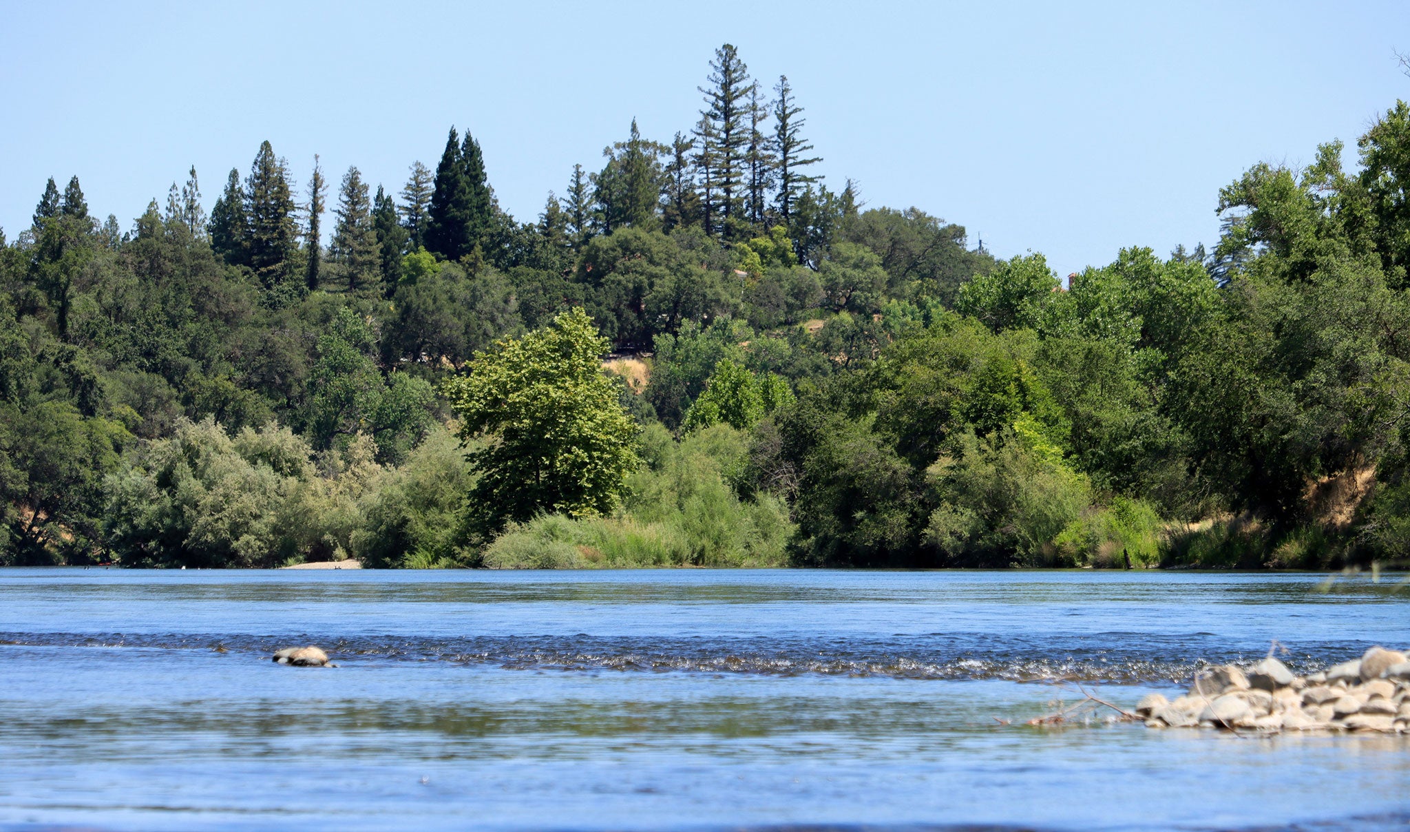 river with trees and clear sky