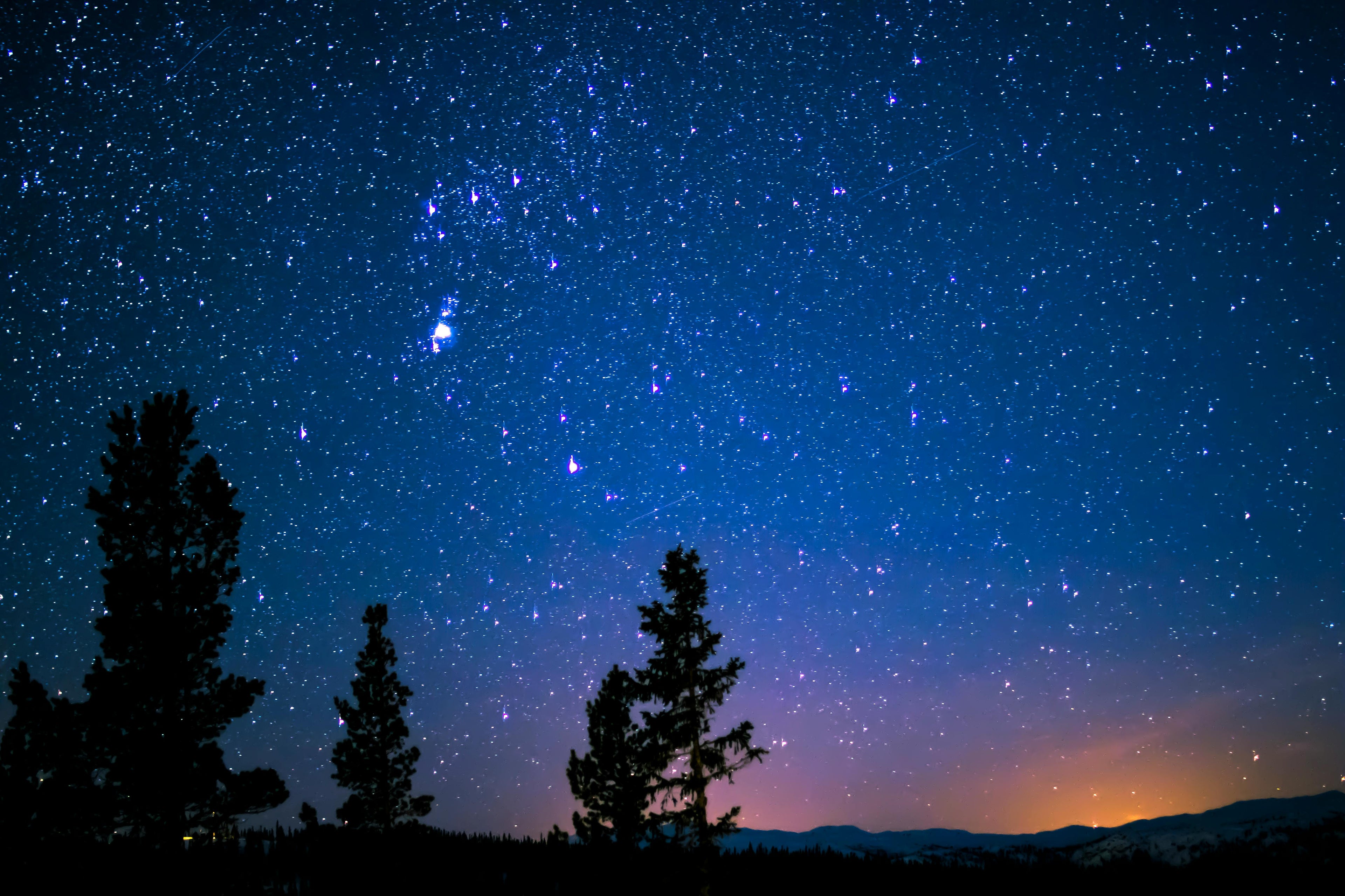 Starry night sky with silhouette of trees